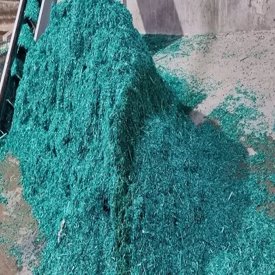 Plastic Crashed Scrap